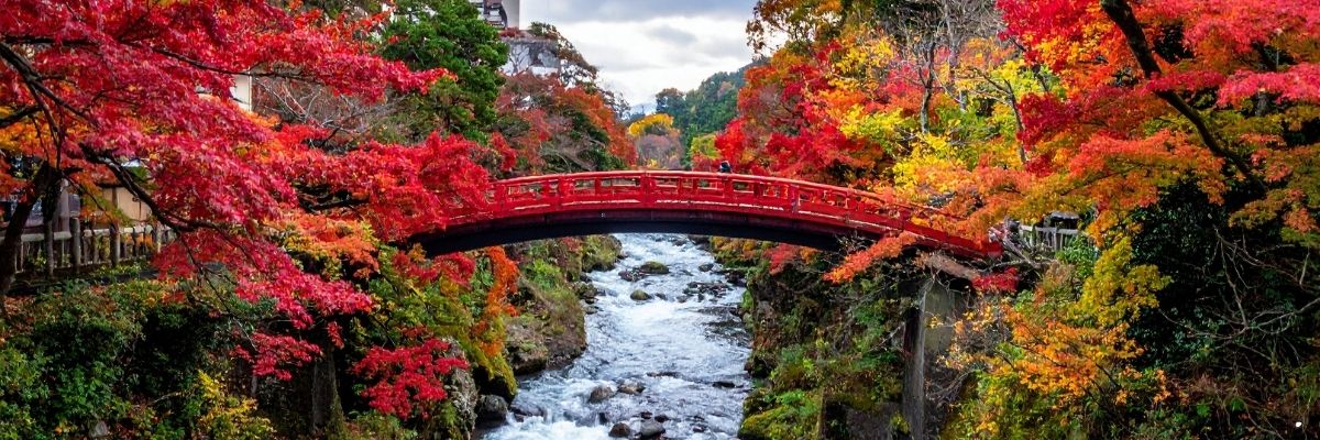 Nikko’da Doğa ve Tarihin Buluştuğu 5 Etkileyici Nokta