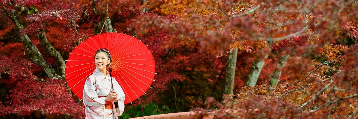 Japonya Ulaşım Kültürü