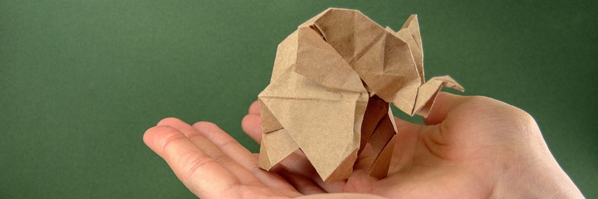 Origami Sanatı Rehberi